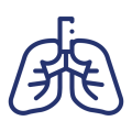 Respiration Rate